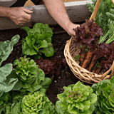 Allotment Pack Special Offer - Topsoil, Compost, Grit and Membrane