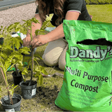 Multi Purpose Welsh Compost