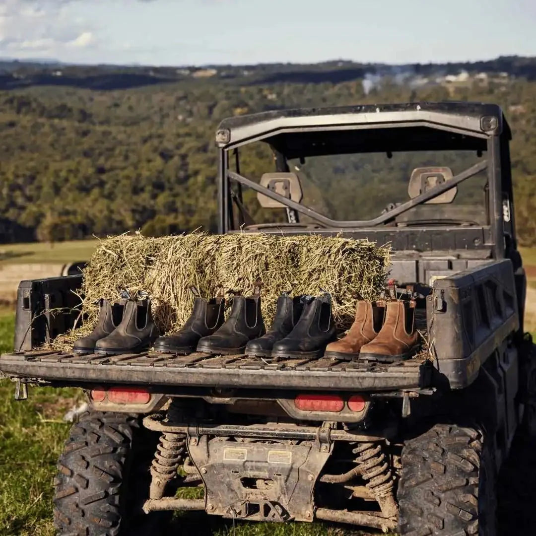 Mongrel K9 Dealer Boot - Vintage Brown (Non Safety)
