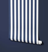 Offshore Coastal Stripe Wallpaper