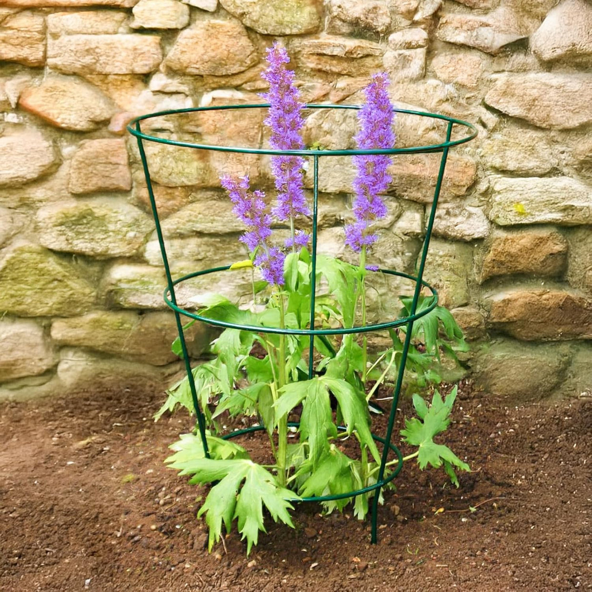 5 Piece Conical Plant Support Trellis Cages for Climbing Plants & Garden Flowers
