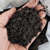 Premium Multi Purpose Compost 0 - 10mm