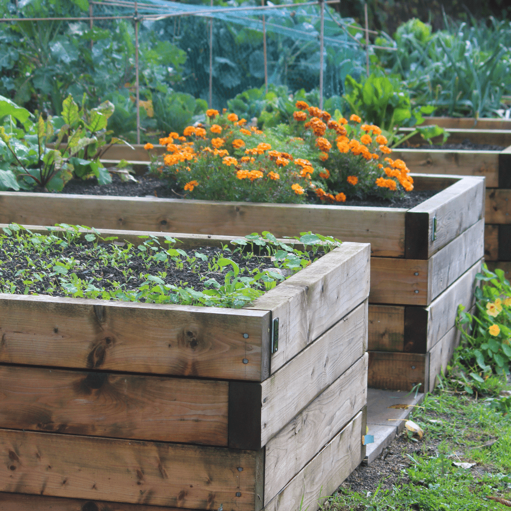 BedGrow® Raised Bed Welsh Topsoil Mix