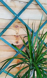 Expanding Garden Trellis Wooden Plant Flower Support Screen Panel Wall Green 180 x 60cm
