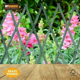Expanding Garden Trellis Wooden Plant Flower Support Screen Panel Wall Green 180 x 60cm