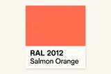 RAL 2012 Salmon Orange - 400ml Aerosol Spray Paint Any Finish