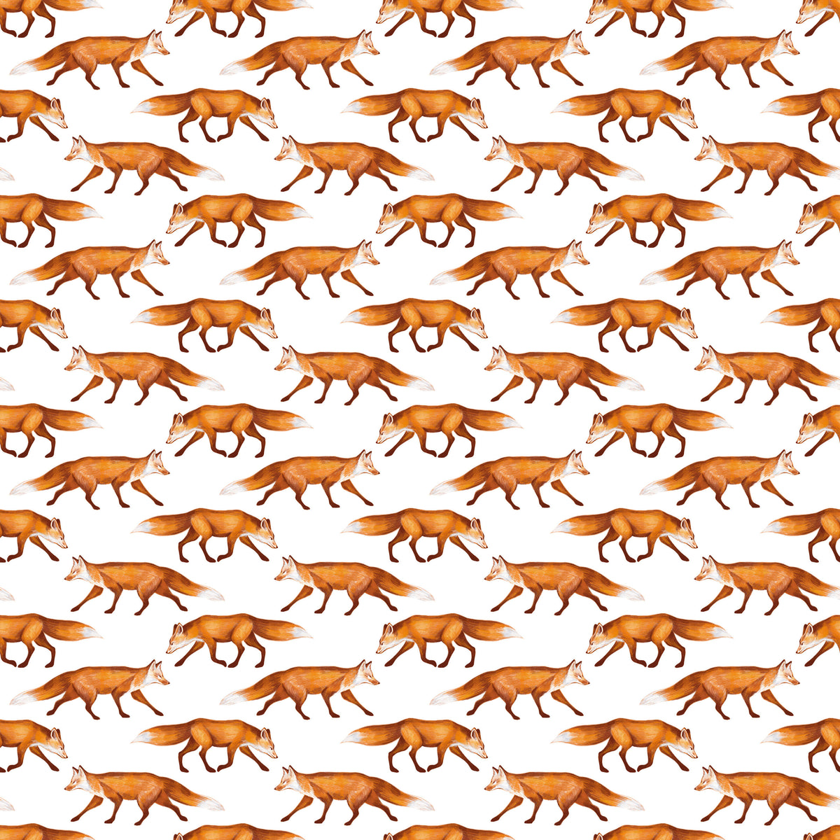 Slink Fox Wallpaper