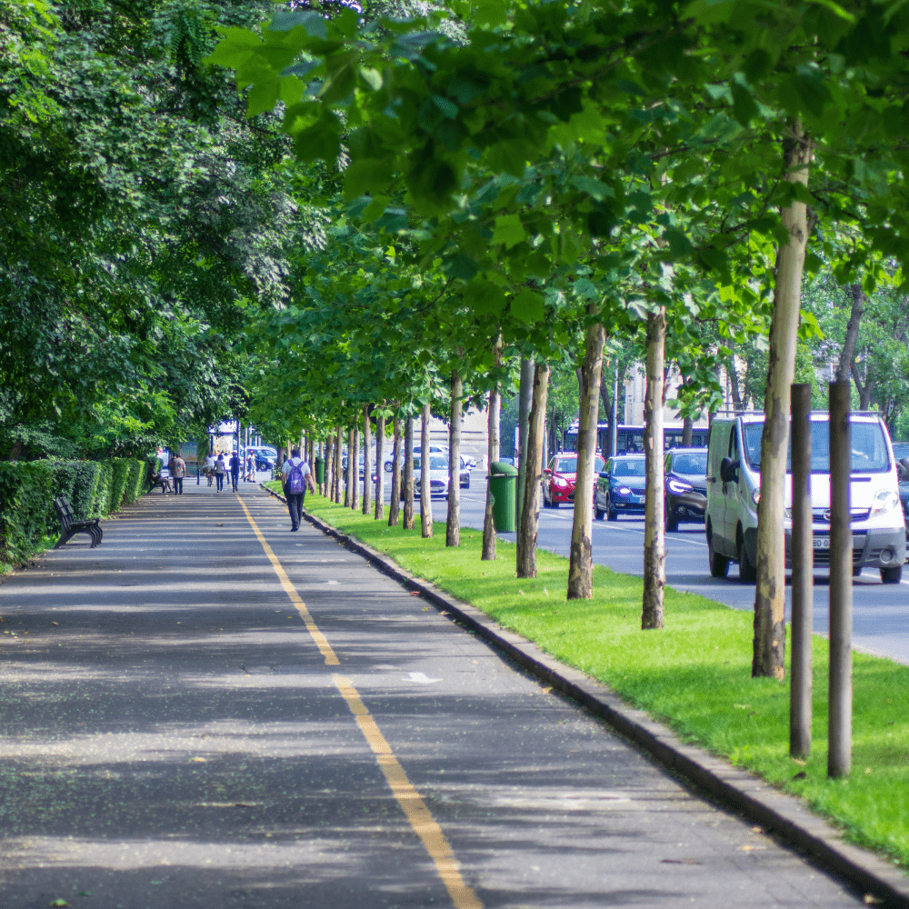 Urban Tree Planting Soil