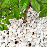 White pebbles 20 to 40mm Bulk Bag