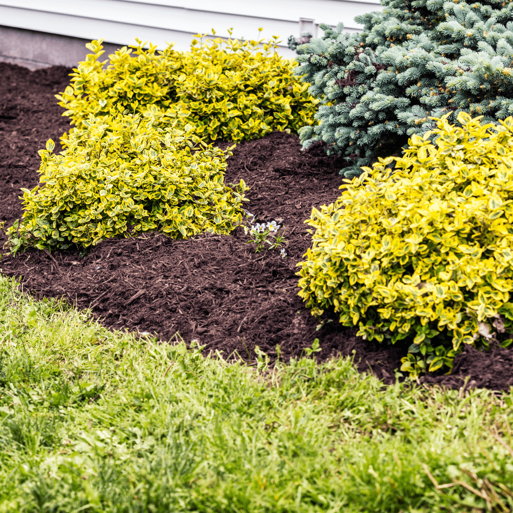 Wintermix Compost Garden Mulch