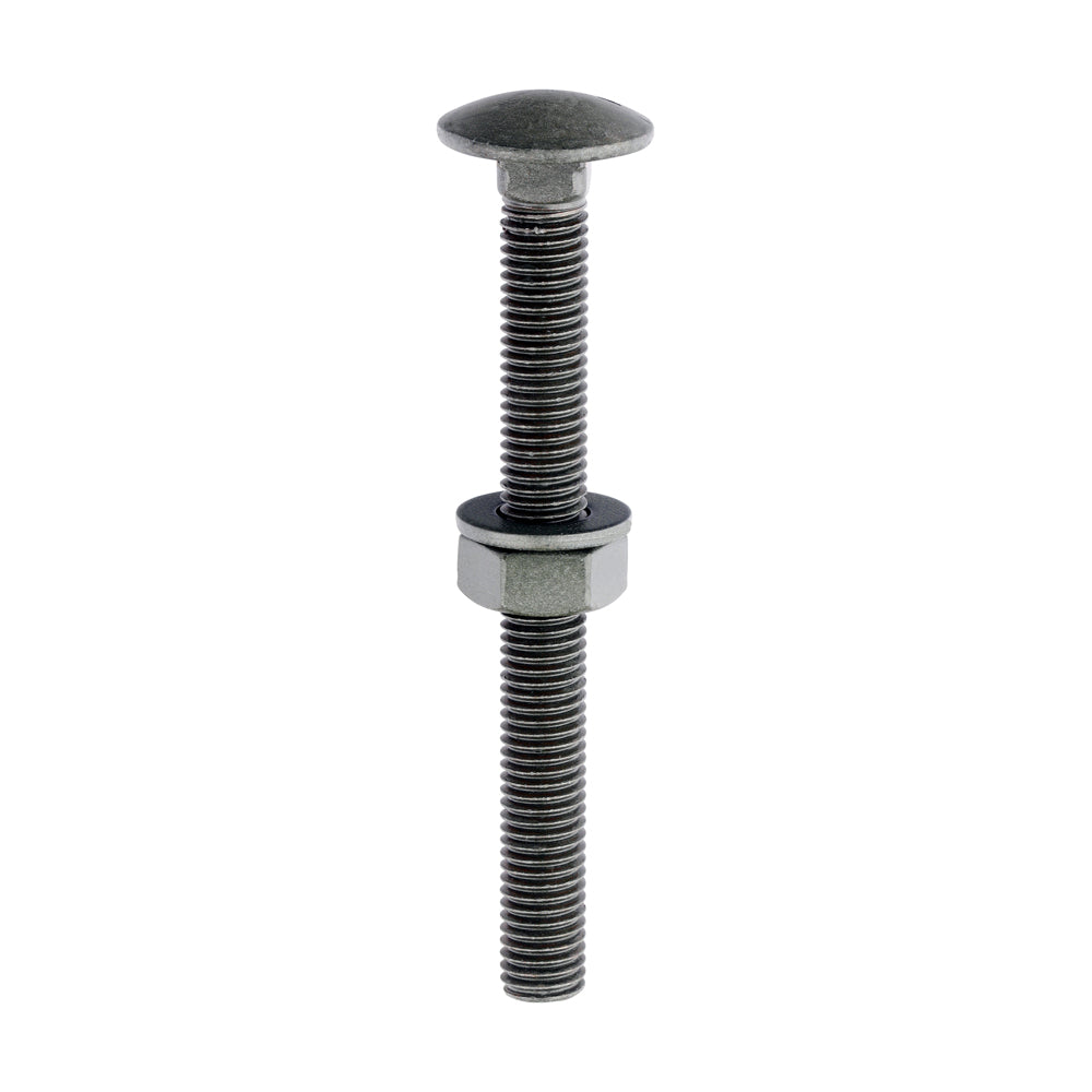 Carriage Bolts Hex Nuts & Form A Washers - Dome - Exterior - Green